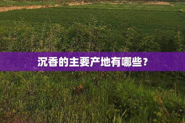 沉香的主要产地有哪些？