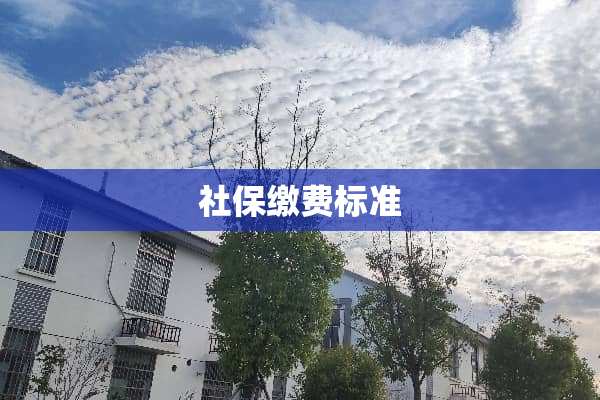 社保缴费标准