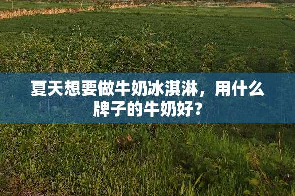 夏天想要做牛奶冰淇淋，用什么牌子的牛奶好？
