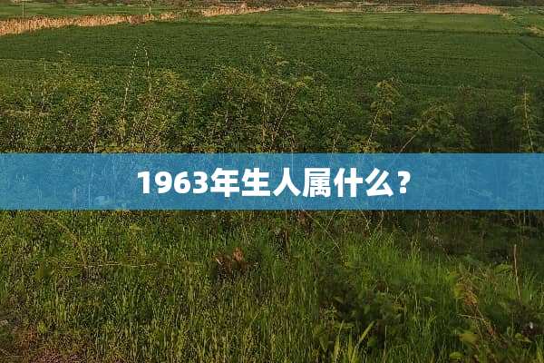 1963年生人属什么？