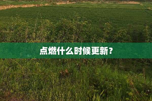 点燃什么时候更新？