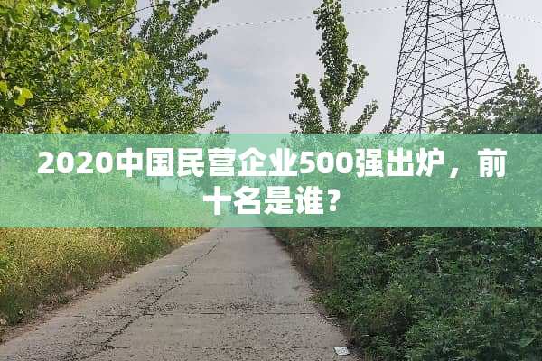2020中国民营企业500强出炉，前十名是谁？