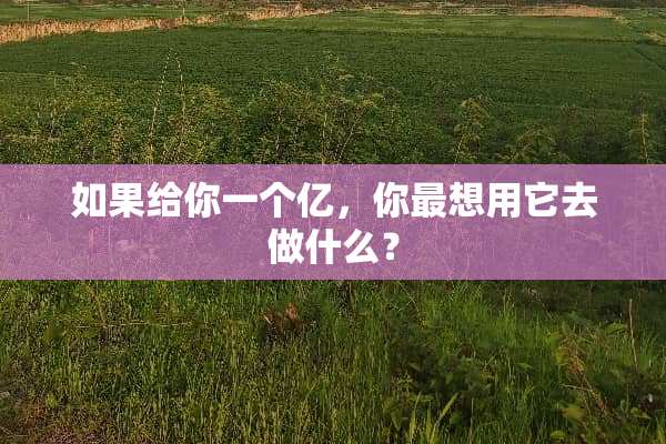 如果给你一个亿，你最想用它去做什么？