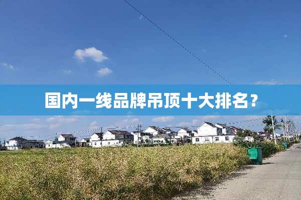 国内一线品牌吊顶十大排名？
