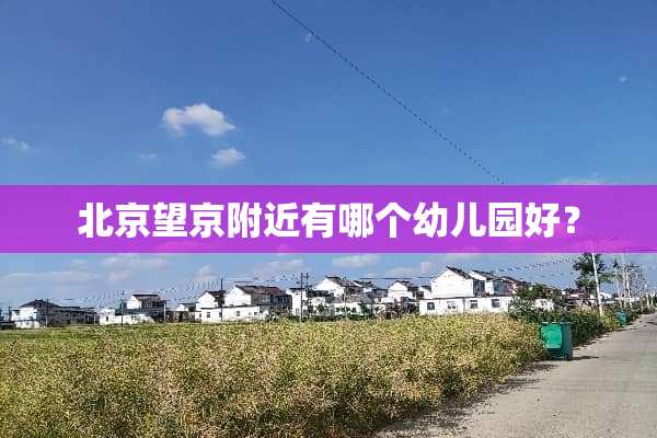 北京望京附近有哪个幼儿园好？