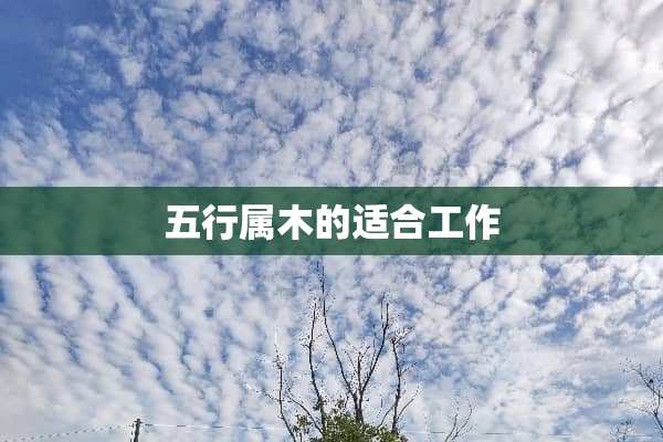 五行属木的适合工作