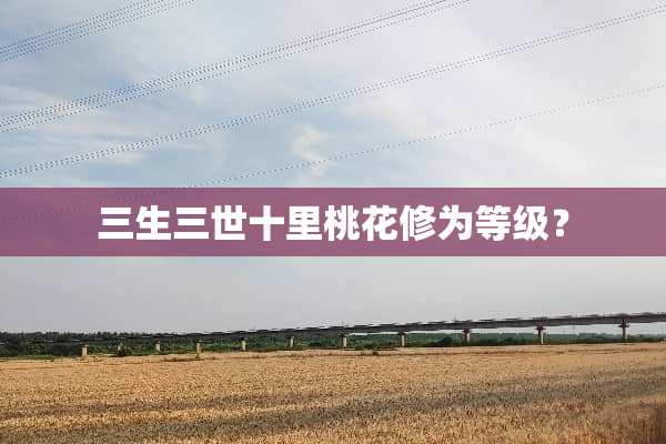 三生三世十里桃花修为等级？