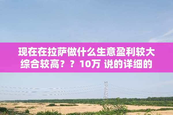 现在在拉萨做什么生意盈利较大 综合较高？？10万 说的详细的 绝对采纳