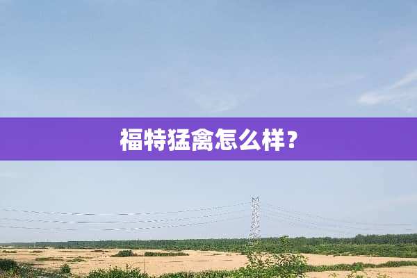 福特猛禽怎么样？