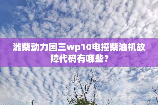 潍柴动力国三wp10电控柴油机故障代码有哪些？