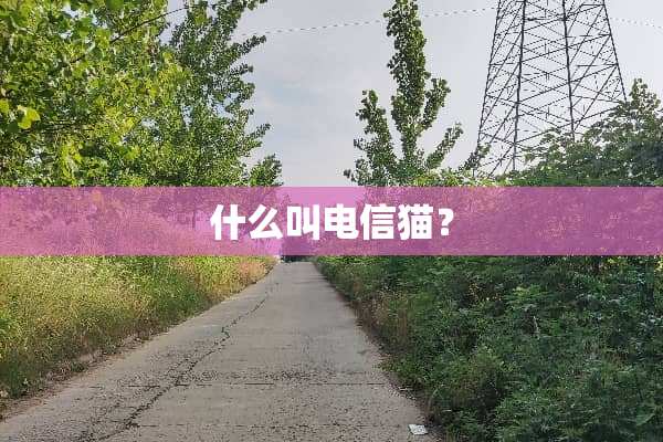 什么叫电信猫？