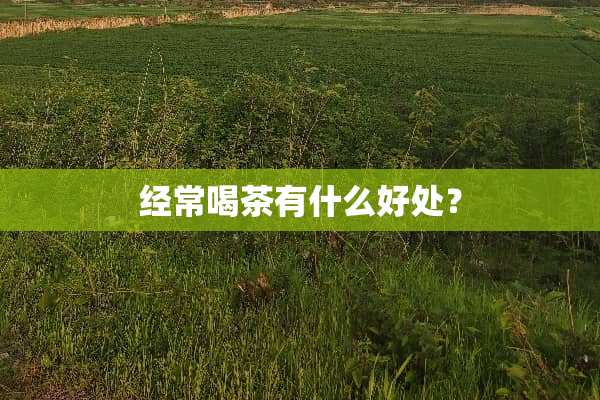 经常喝茶有什么好处？