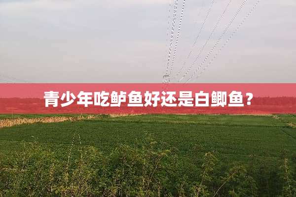 青少年吃鲈鱼好还是白鲫鱼？