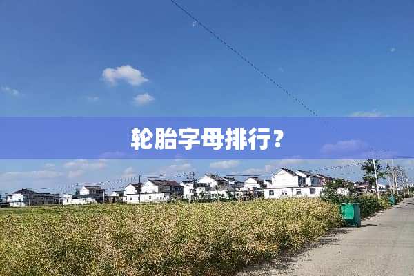 轮胎字母排行？