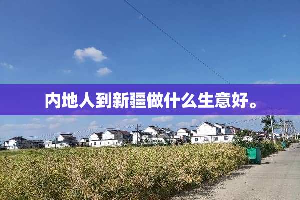 内地人到新疆做什么生意好。