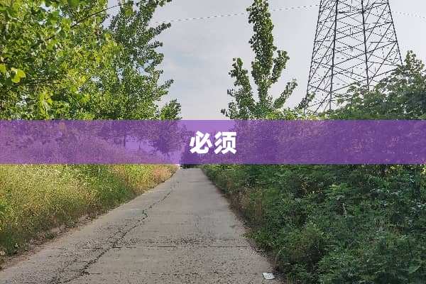 必须