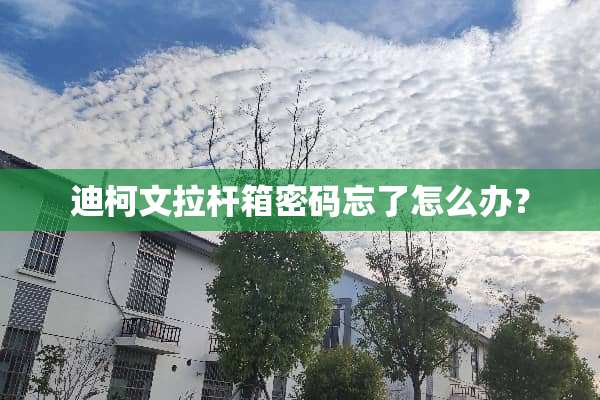迪柯文拉杆箱密码忘了怎么办？