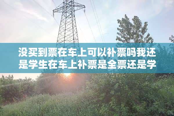 没买到票在车上可以补票吗我还是学生在车上补票是全票还是学生票啊~？