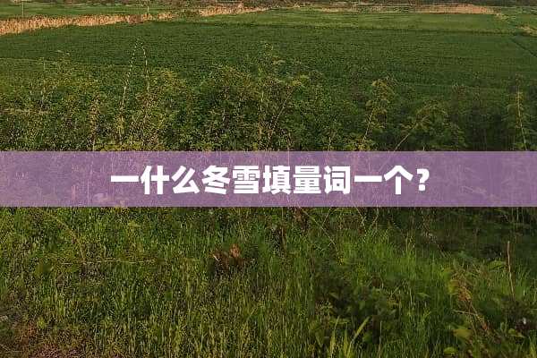 一什么冬雪填量词一个？