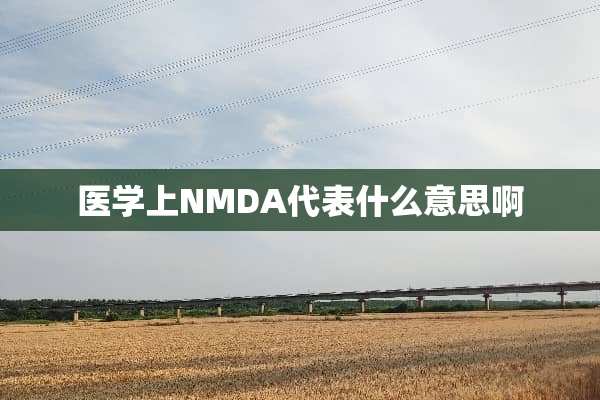 医学上NMDA代表什么意思啊