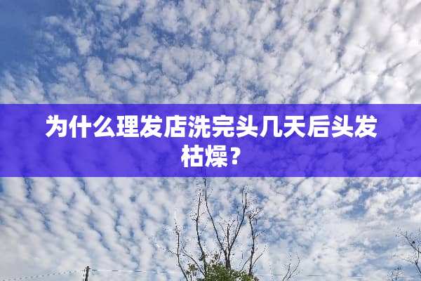 为什么理发店洗完头几天后头发枯燥？