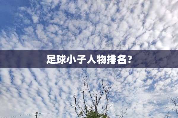 **小子人物排名？