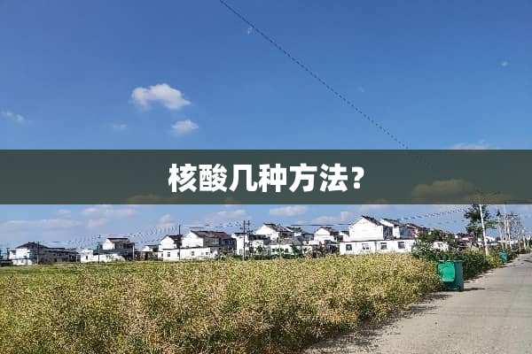 核酸几种方法？