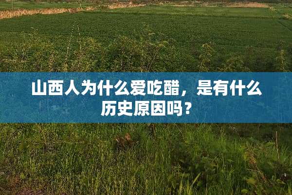 山西人为什么爱吃醋，是有什么历史原因吗？
