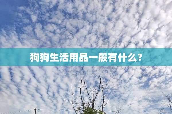狗狗生活用品一般有什么？