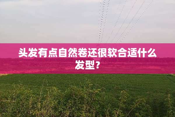 头发有点自然卷还很软合适什么发型？