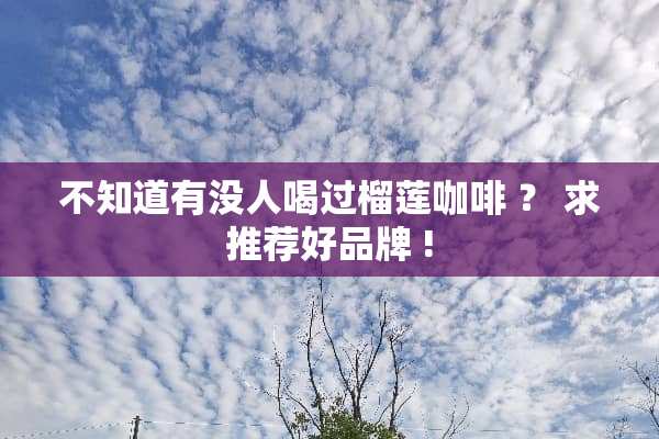 不知道有没人喝过榴莲咖啡 ？ 求推荐好品牌 !