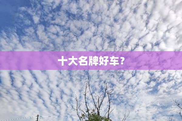 十大名牌好车？