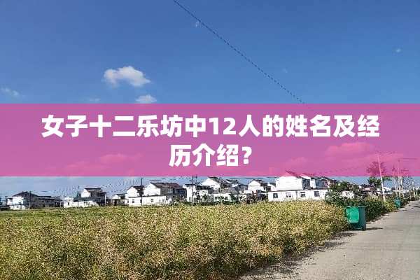 女子十二乐坊中12人的姓名及经历介绍？