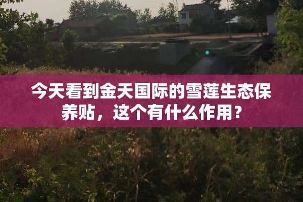 今天看到金天国际的雪莲生态保养贴，这个有什么作用？