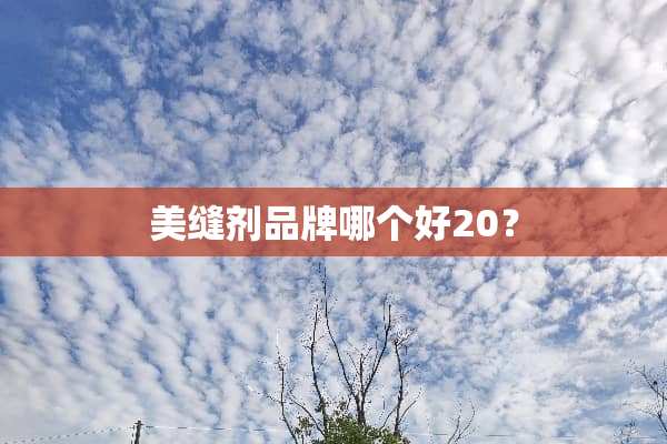 美缝剂品牌哪个好20？