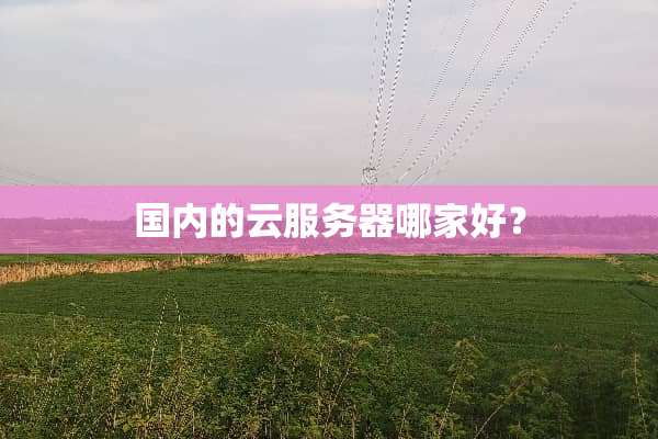 国内的云服务器哪家好？