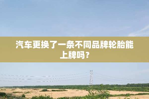 汽车更换了一条不同品牌轮胎能上牌吗？