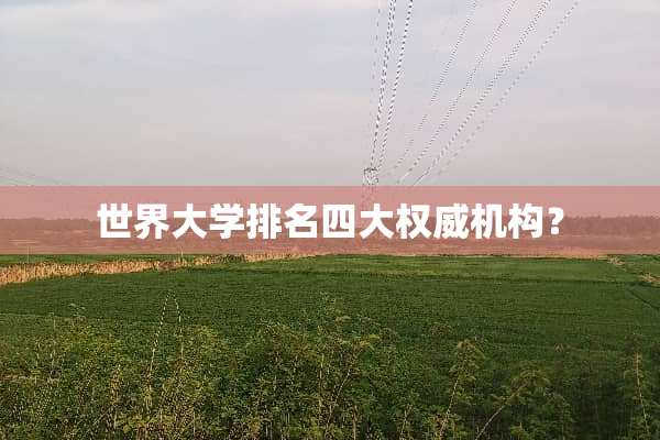 世界大学排名四大权威机构？