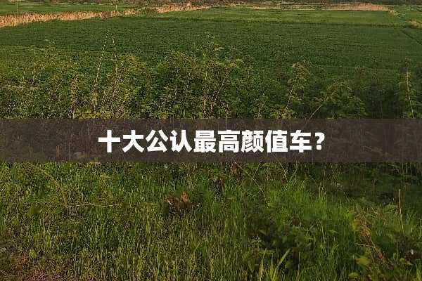 十大公认最高颜值车？
