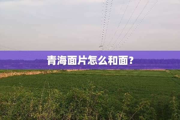 青海面片怎么和面？