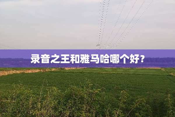 录音之王和***哪个好？