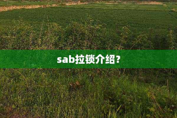 sab拉锁介绍？