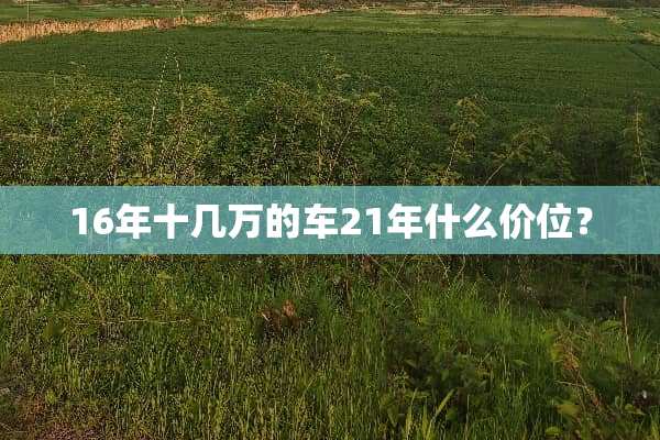 16年十几万的车21年什么价位？