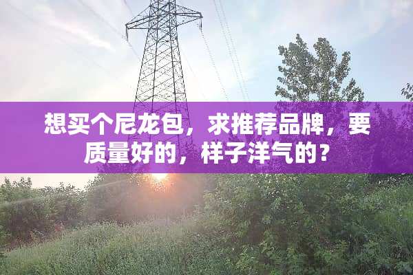 想买个尼龙包，求推荐品牌，要质量好的，样子洋气的？