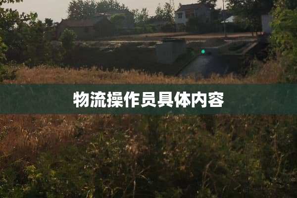 物流操作员具体内容