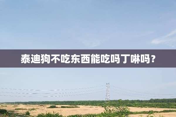 泰迪狗不吃东西能吃吗丁啉吗？