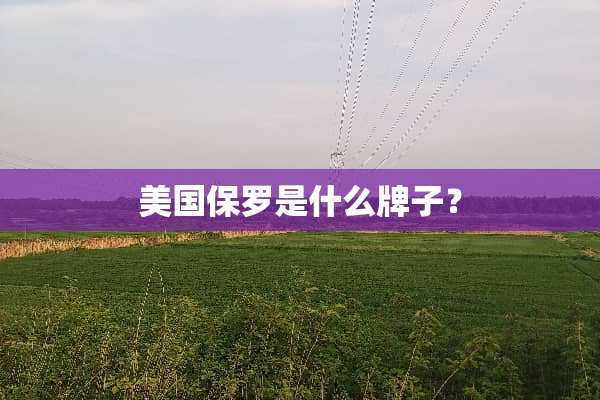 美国保罗是什么牌子？