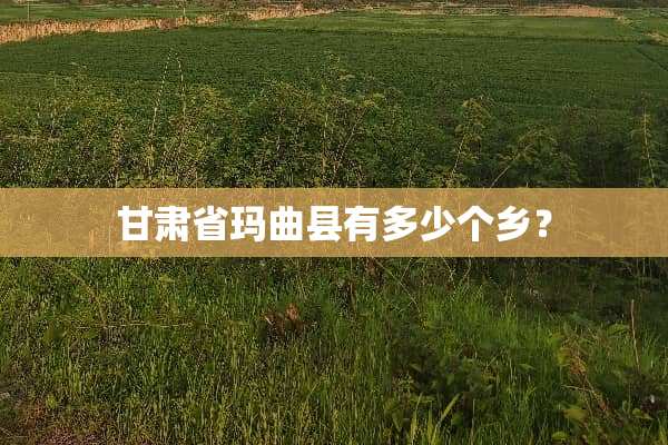 甘肃省玛曲县有多少个乡？