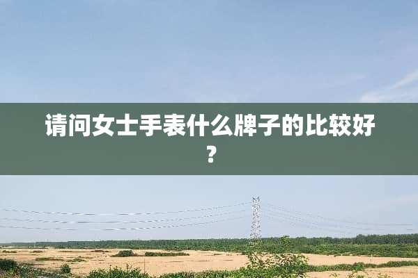 请问女士手表什么牌子的比较好？