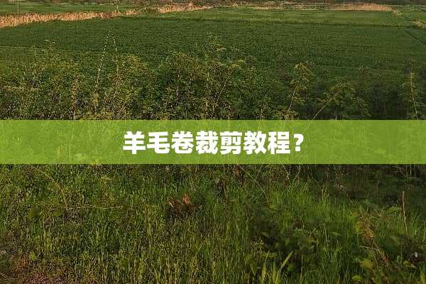 羊毛卷裁剪教程？